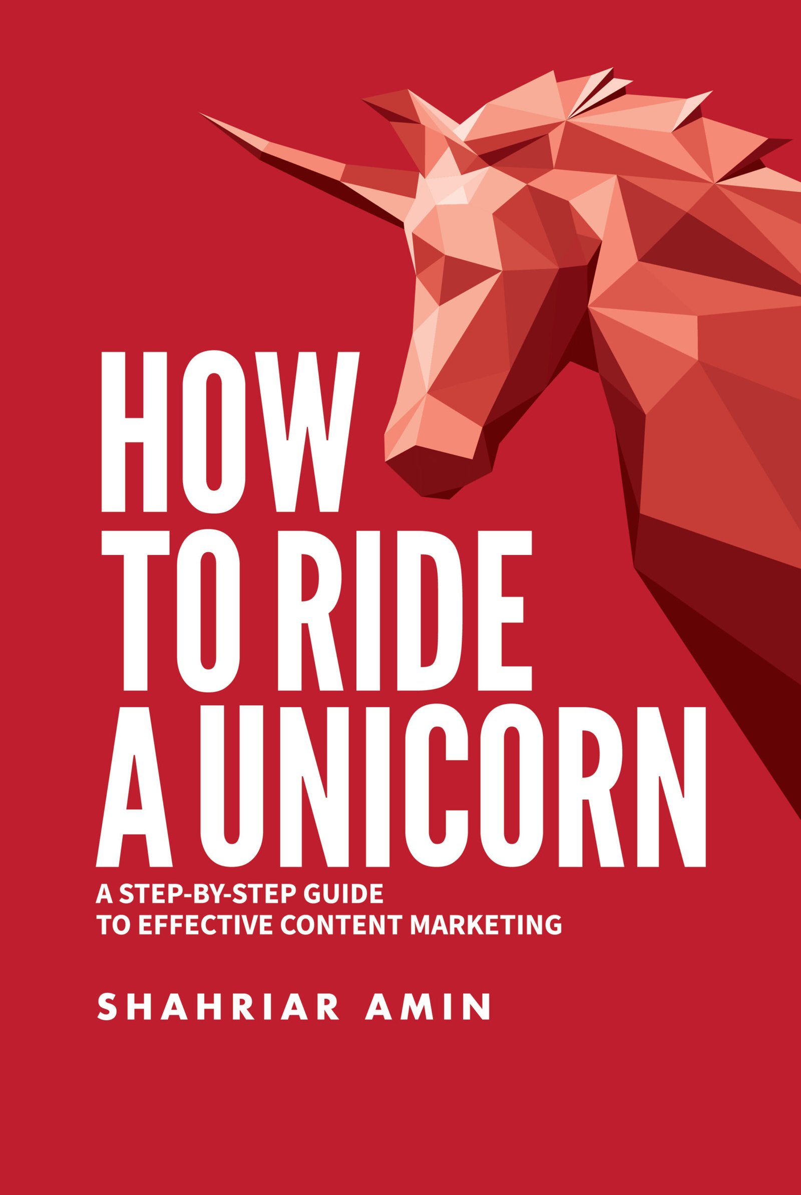 How to Ride a Unicorn 29-01-2023 front cover-01