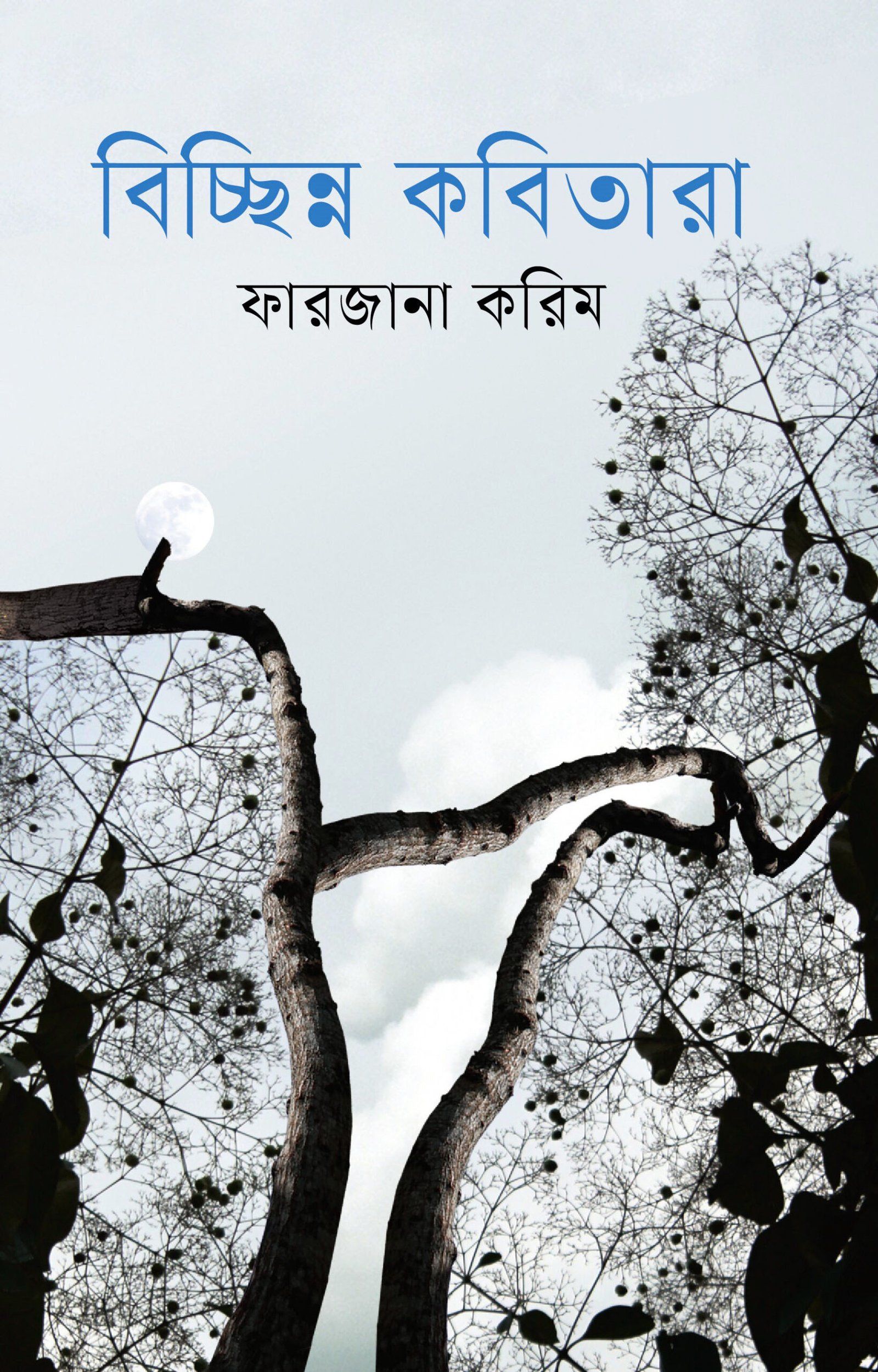 বিচ্ছিন্ন কবিতারা_ফারজ