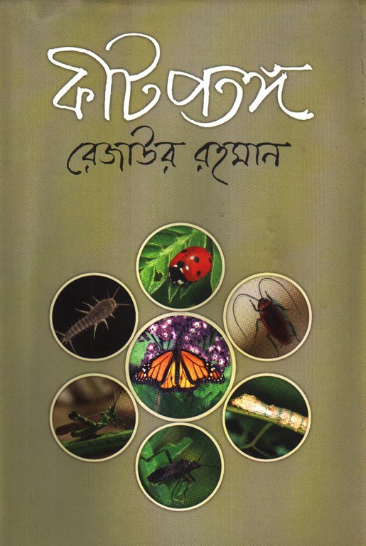 26586251