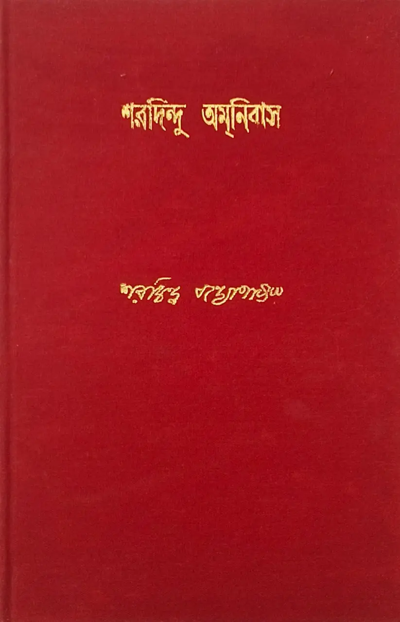 25438093