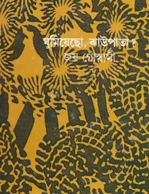 17880047